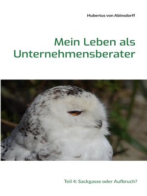 cover image of Mein Leben als Unternehmensberater